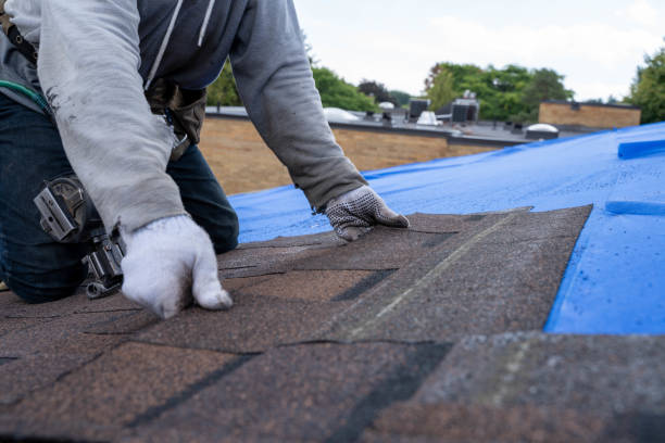 Quick and Trustworthy Emergency Roof Repair Services in Harleigh, PA