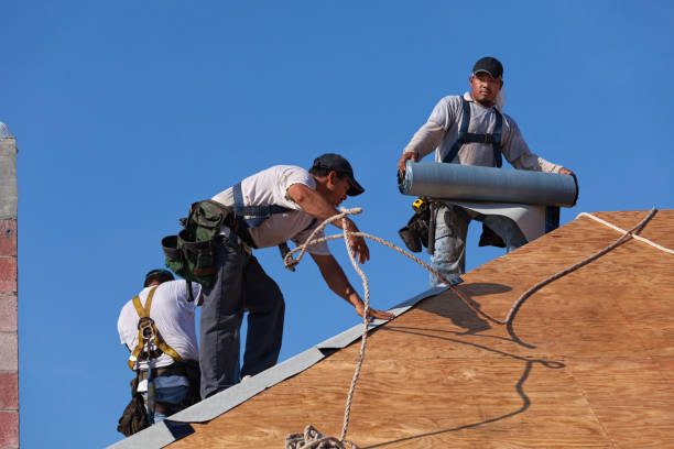Best Roof Repair Services  in Harleigh, PA