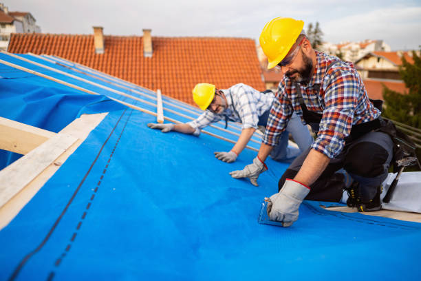 Best Roof Gutter Cleaning  in Harleigh, PA